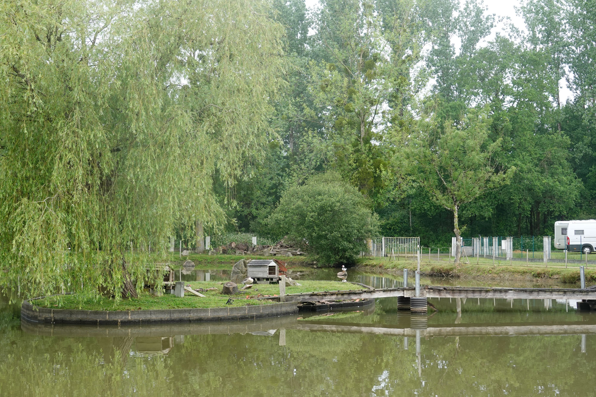 Peche truite 26